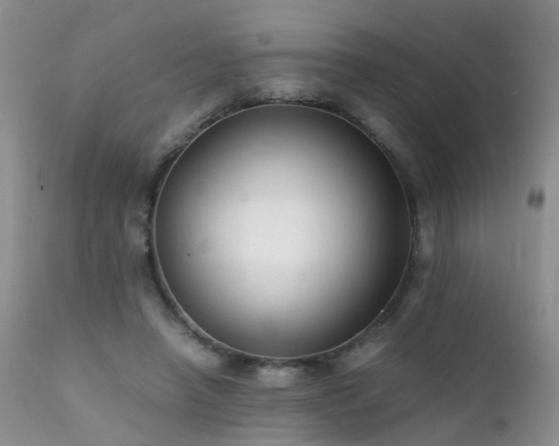 X0000112110450200908111446