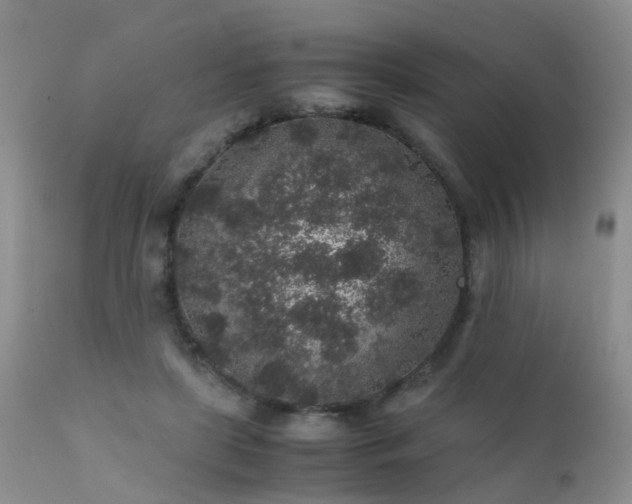 X0000112110451200908111446