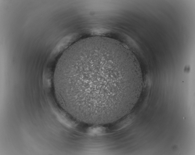 X0000112110452200908111446