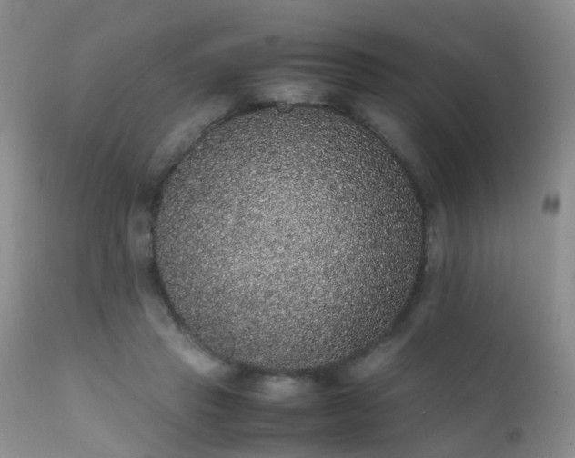 X0000112110453200908111446