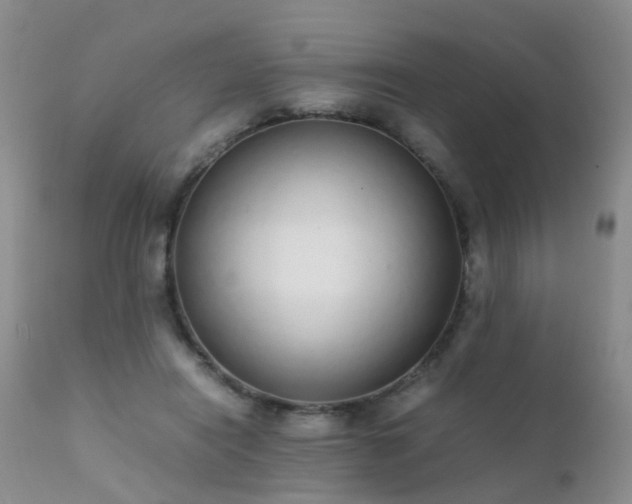 X0000112110454200908111446