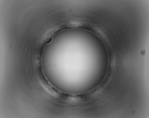 X0000112110455200908111446