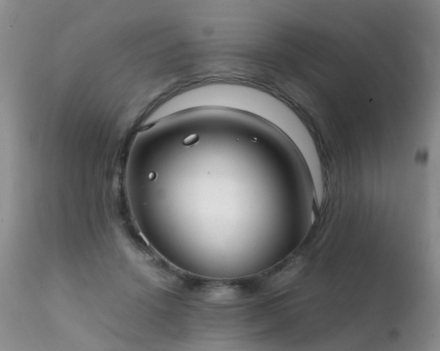 X0000112110456200908111446