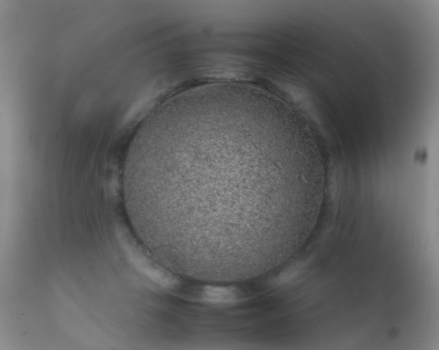 X0000112110457200908111446