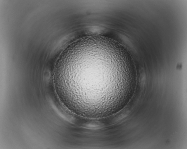 X0000112110459200908111446