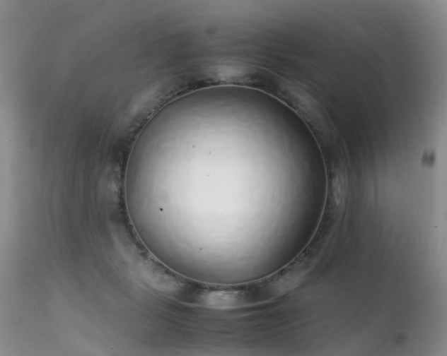 X0000112110461200908111446