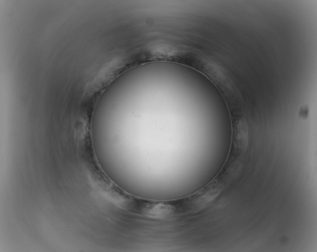 X0000112110463200908111446