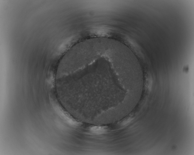 X0000112110465200908111446