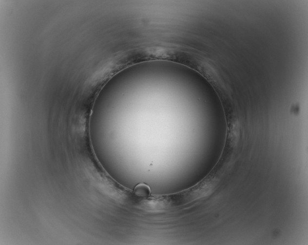 X0000112110466200908111446