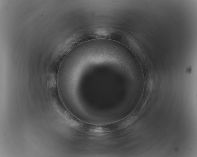 X0000112110467200908111446