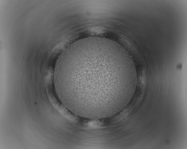 X0000112110468200908111446