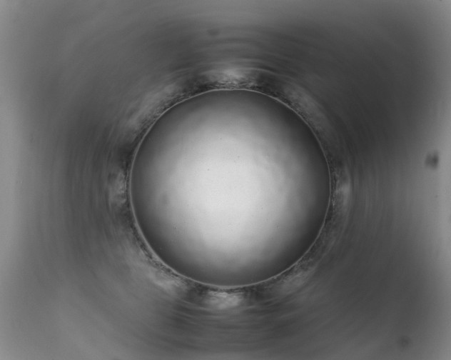 X0000112110469200908111446