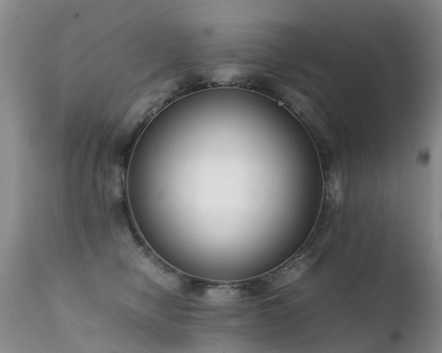 X0000112110470200908111446