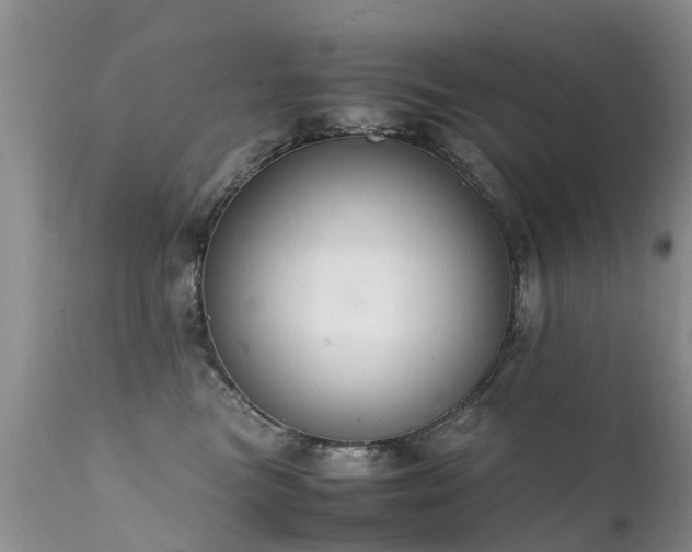 X0000112110473200908111447