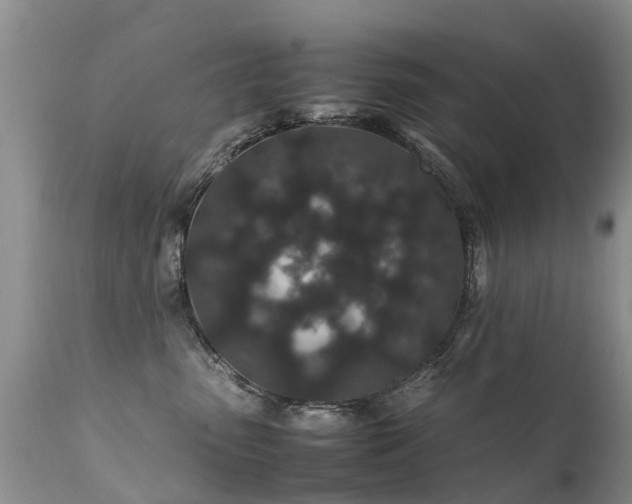 X0000112110475200908111447