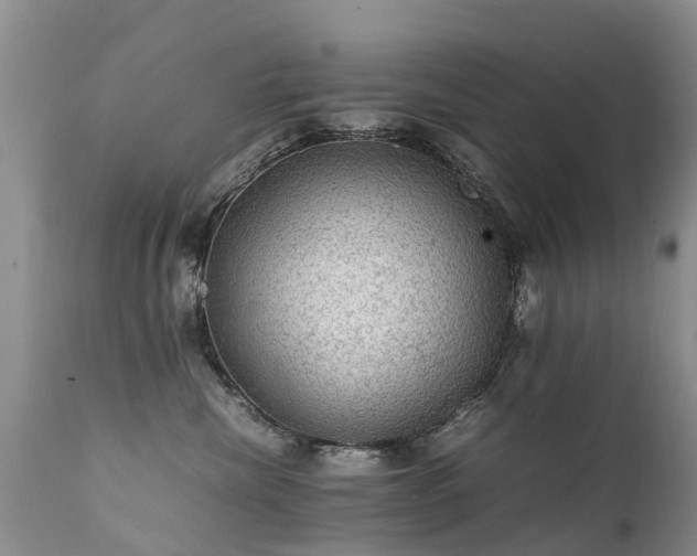 X0000112110476200908111447