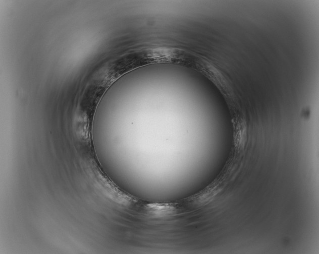 X0000112110477200908111447