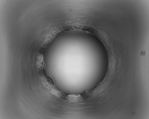 X0000112110480200908111447