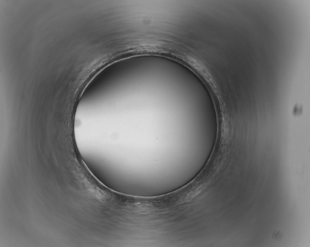 X0000112110481200908111446