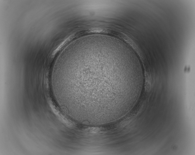 X0000112110482200908111446