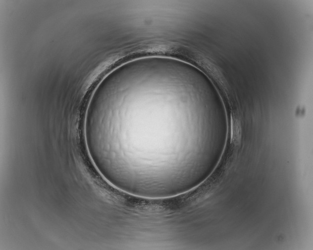 X0000112110483200908111446