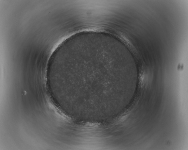 X0000112110484200908111446