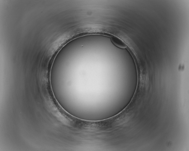 X0000112110485200908111446