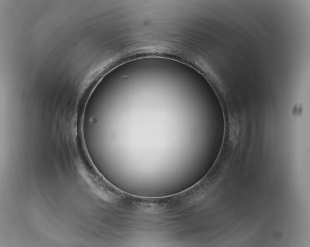 X0000112110486200908111446