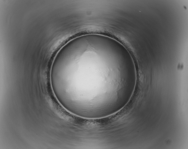 X0000112110487200908111446