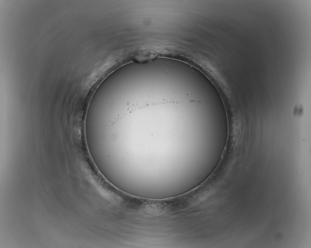 X0000112110489200908111446