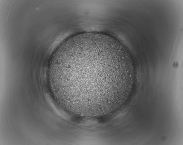 X0000112110491200908111446