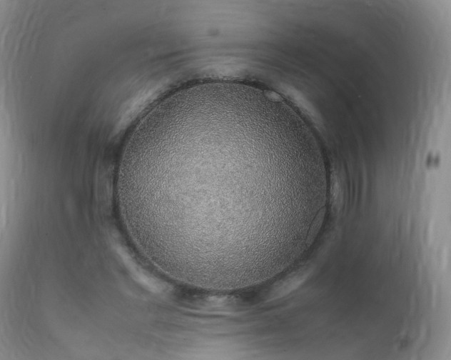 X0000112110493200908111446