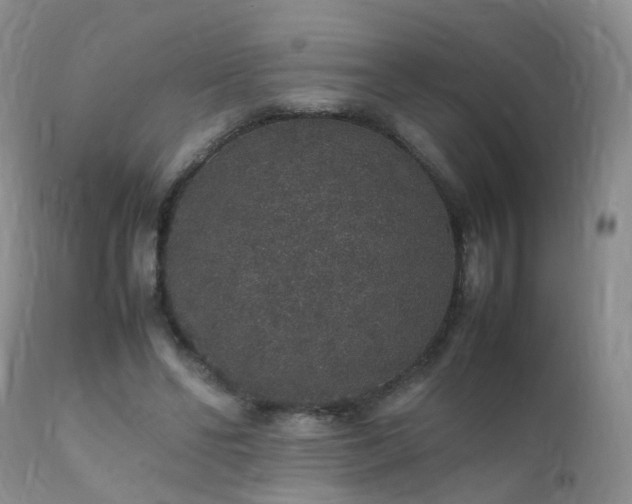 X0000112110494200908111446