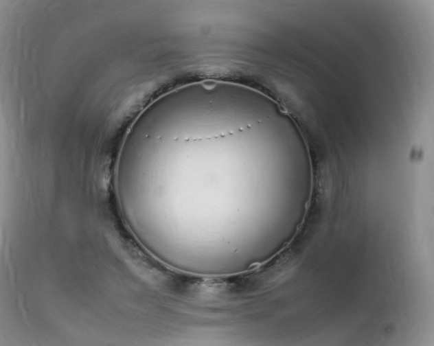 X0000112110495200908111446