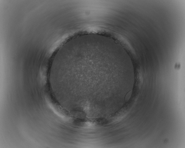 X0000112110496200908111446