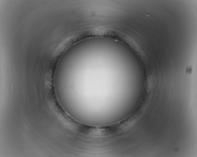 X0000112110497200908111446