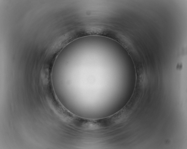 X0000112110498200908111446