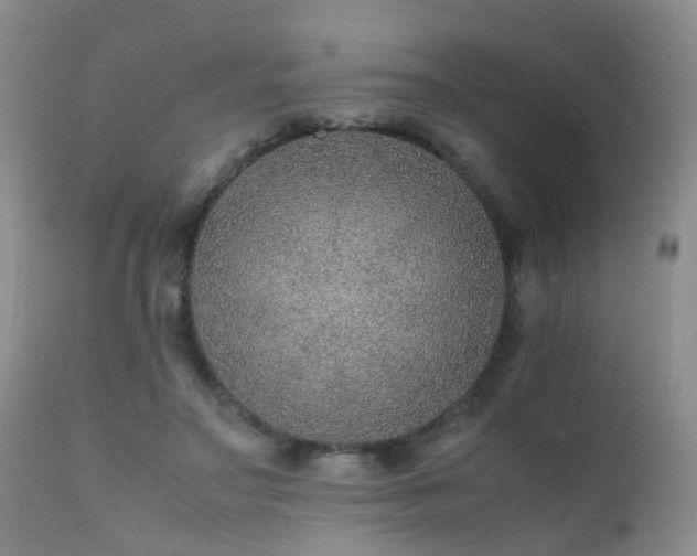 X0000112110499200908111446