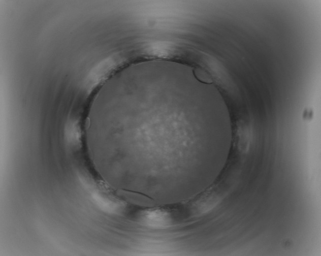 X0000112110500200908111446