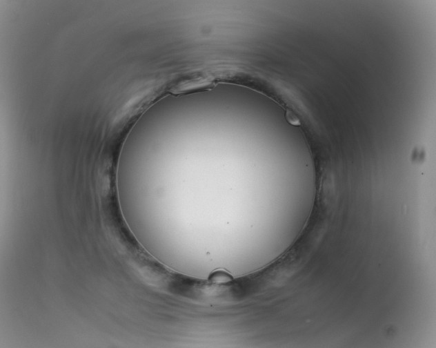 X0000112110501200908111446