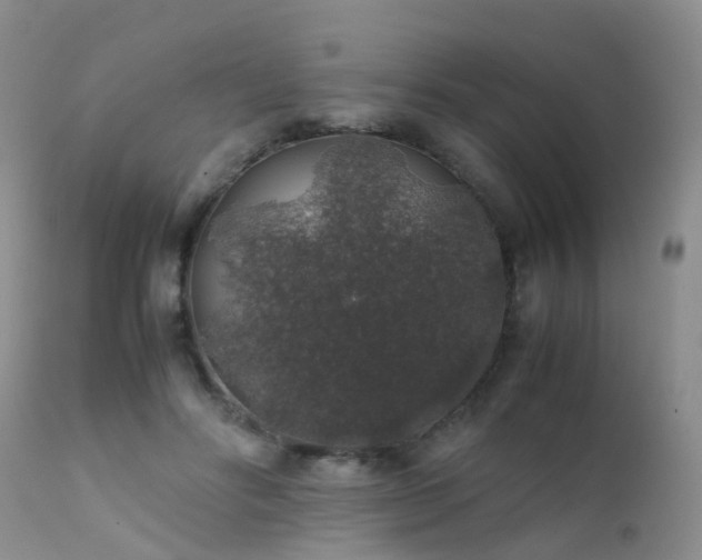 X0000112110502200908111446