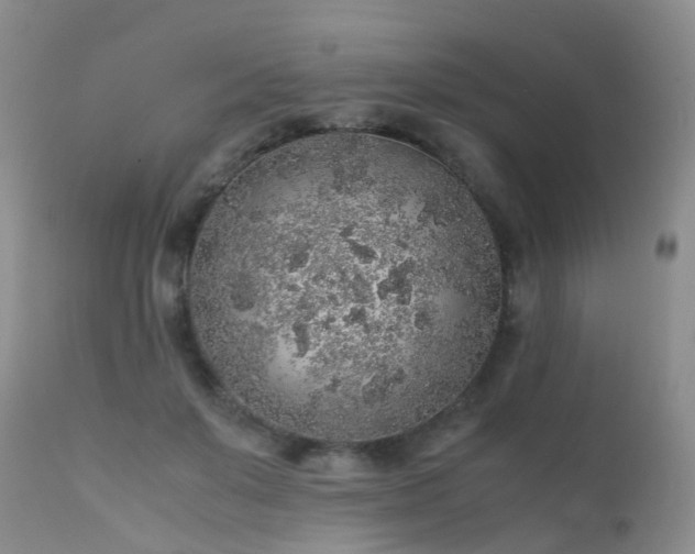 X0000112110503200908111446