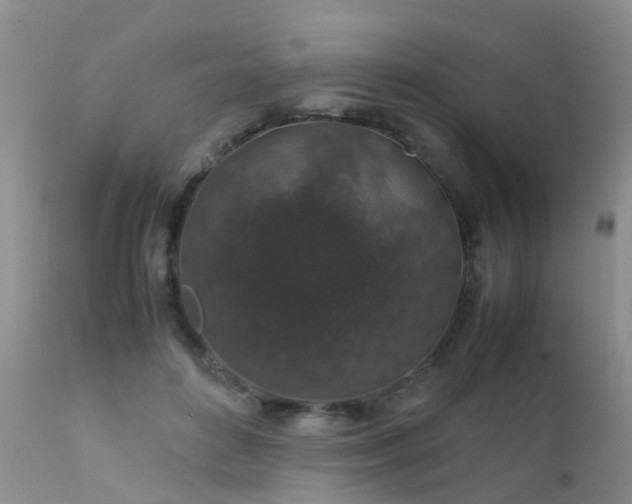 X0000112110504200908111446