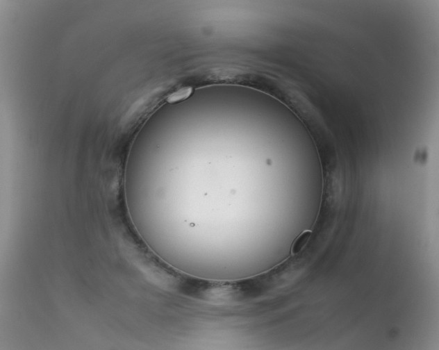 X0000112110505200908111446