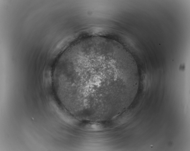 X0000112110506200908111446