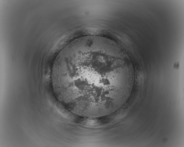 X0000112110507200908111446