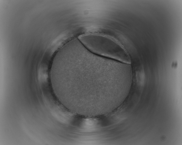 X0000112110508200908111446