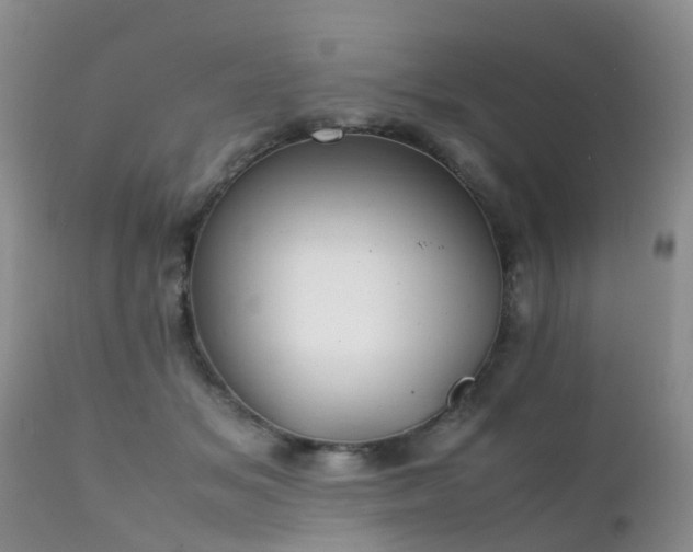 X0000112110509200908111446