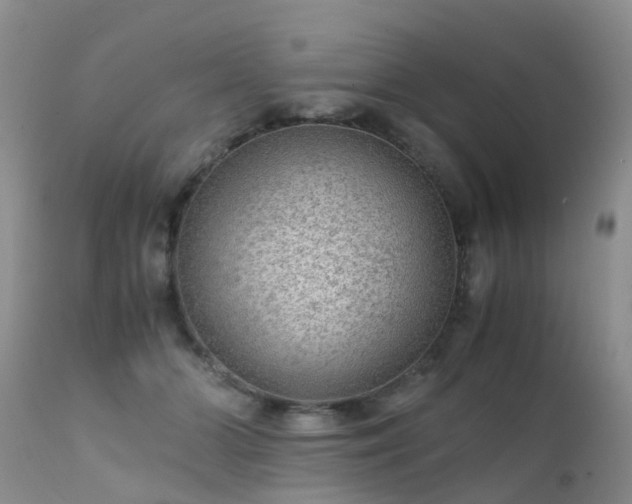 X0000112110510200908111446