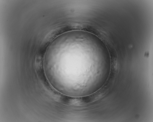 X0000112110511200908111446